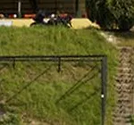 Sole