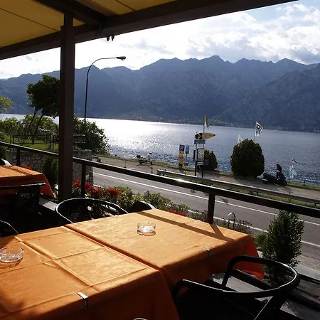 Sole מאלצ'סינה